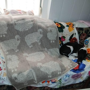Oso added a photo of their purchase
