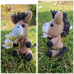 Wiebke added a photo of their purchase