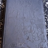 Reviewer's image