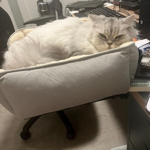 Mel added a photo of their purchase