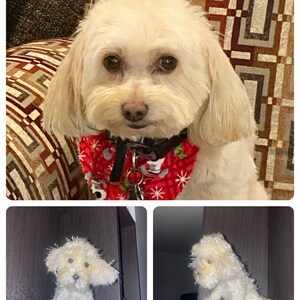 Julie added a photo of their purchase