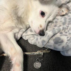 Nikki added a photo of their purchase