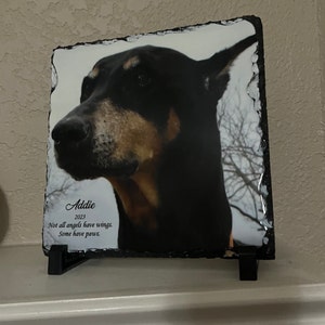 Karen added a photo of their purchase