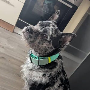 Jasmin heeft een foto van de aankoop toegevoegd