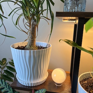 Pamela heeft een foto van zijn/haar aankoop toegevoegd