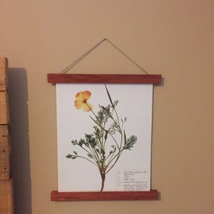 Halee added a photo of their purchase