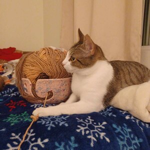 Renae added a photo of their purchase