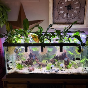 Tammy added a photo of their purchase