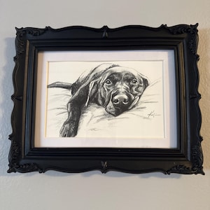 Janet added a photo of their purchase