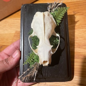 Chelly added a photo of their purchase