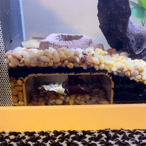 Moira added a photo of their purchase