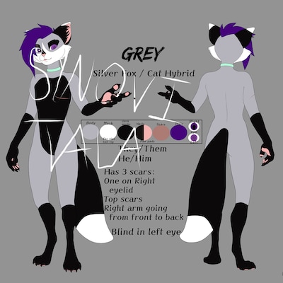 13 Species Furry Reference Sheet Base Kit .psd File - Etsy