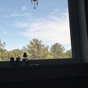 Kaylee added a photo of their purchase