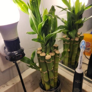 Brandon added a photo of their purchase