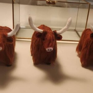 Shelley added a photo of their purchase