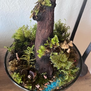 Erin added a photo of their purchase