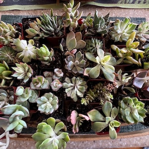 Kay added a photo of their purchase