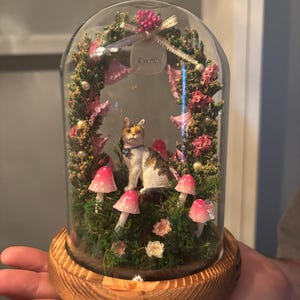 Ashra さんが購入した商品の写真を追加しました