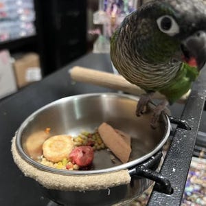 Donna added a photo of their purchase