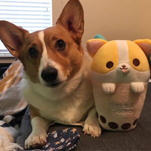 Big Boba Corg Plush Corgi Plushie Boba Plushie Etsy Canada