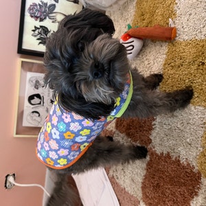 Ellen added a photo of their purchase