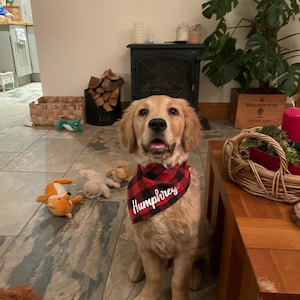 Ruth added a photo of their purchase