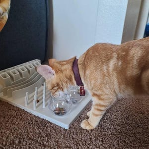 Carne added a photo of their purchase