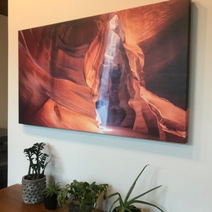 Angelina added a photo of their purchase