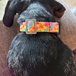 Lauren added a photo of their purchase