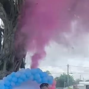 Gender Reveal Powder Blaster