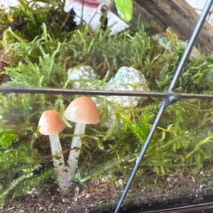 Sara added a photo of their purchase