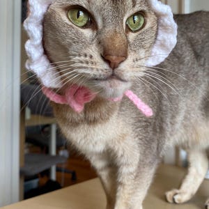 Audrey added a photo of their purchase