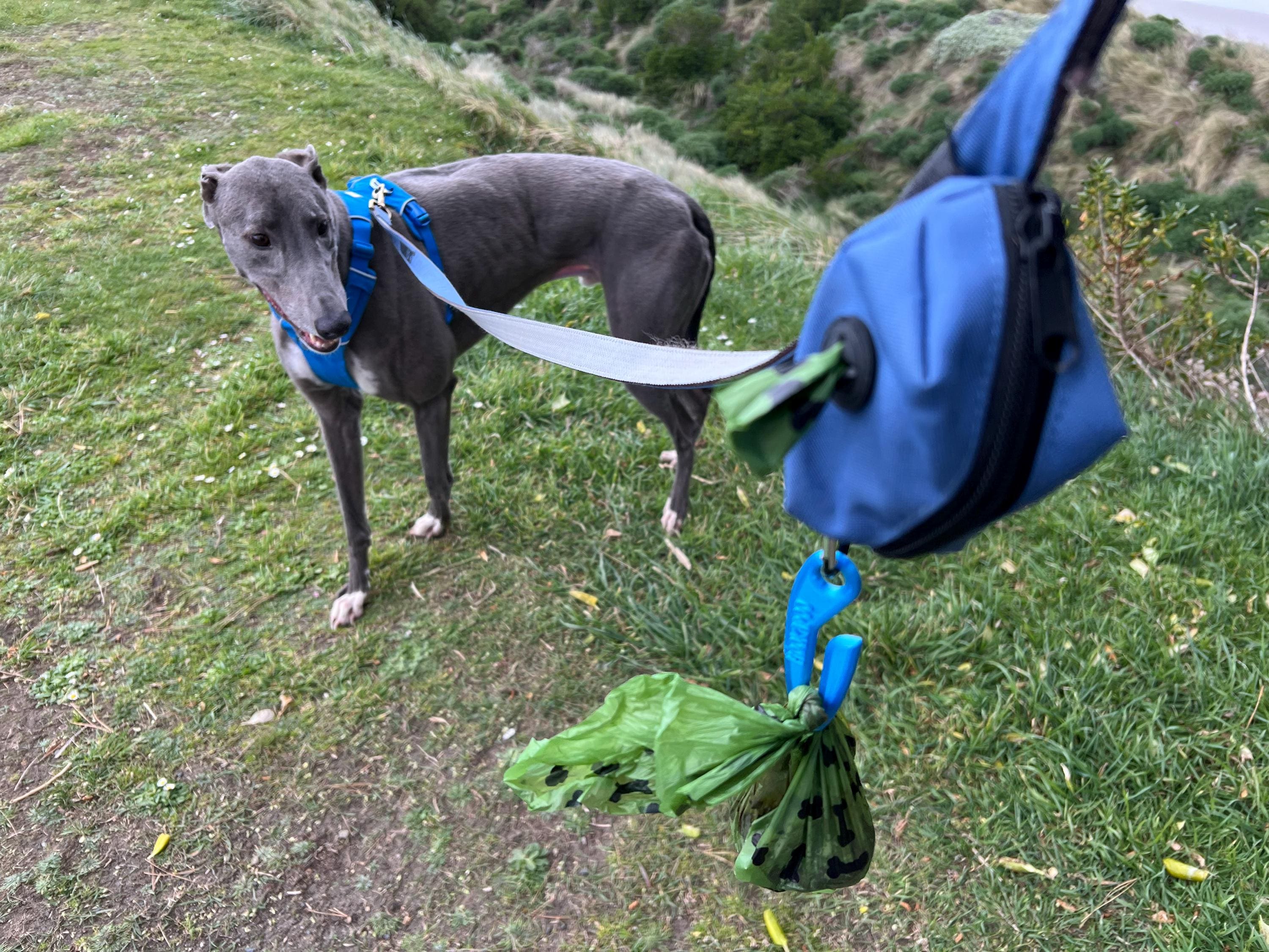 Hookapoo Dog Poop Bag Carrier Dog Poo Holder Clip on Hands free Sustainable Pink and Blue, Poo Hook