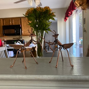 Lynne added a photo of their purchase
