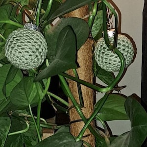 Nastasja added a photo of their purchase