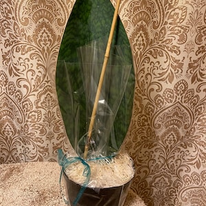 Freda added a photo of their purchase