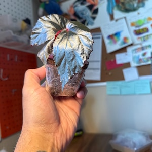 Daniel heeft een foto van de aankoop toegevoegd
