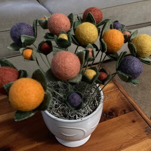 Anna added a photo of their purchase