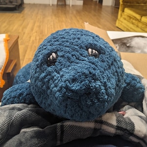Rachel added a photo of their purchase