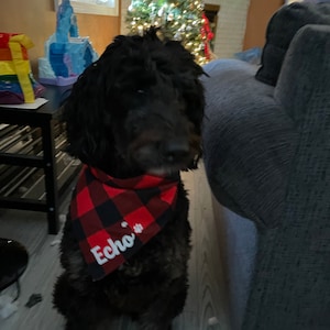 Maire added a photo of their purchase