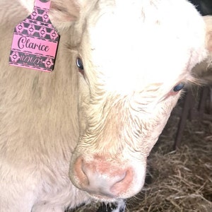 Kalli ha añadido una foto de su compra