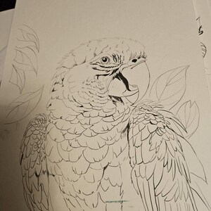 Carly dodał(a) zdjęcie swoich zakupów