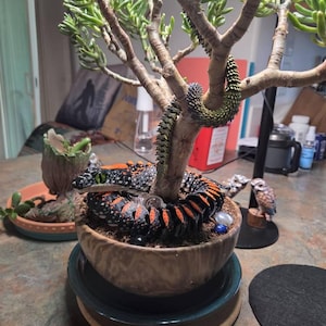Bill added a photo of their purchase