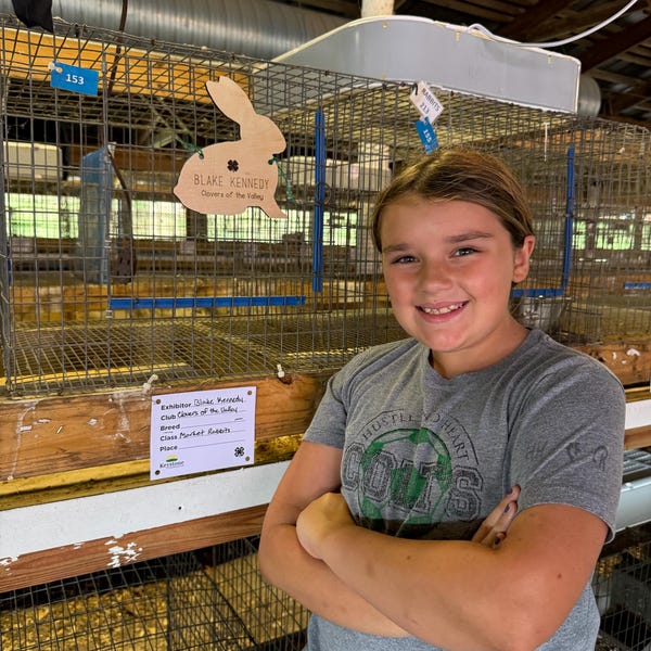 4 H Rabbit Signs Rabbit Pen Stall Sign | 4H Barn Stall Sign | Rabbit | Chicken ...