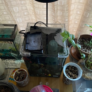 Lisa added a photo of their purchase