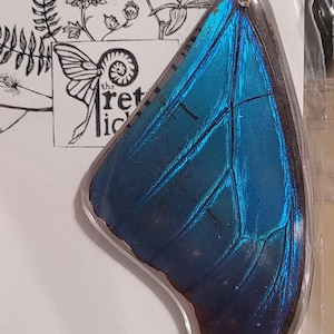 Sara added a photo of their purchase