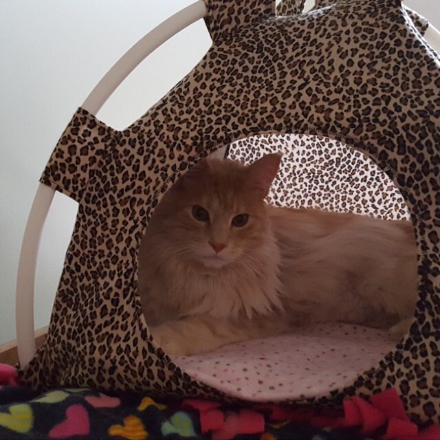 Large Handmade Football Sport Teams Pup Tent Pet Bed for