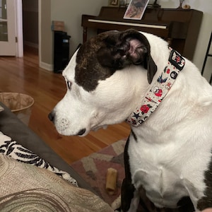 Rude Dog Collar 