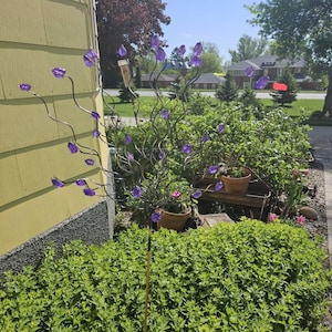 Barb added a photo of their purchase