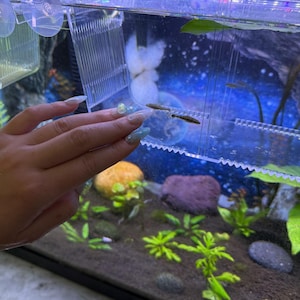 Maggie hat ein Foto des gekauften Artikels hinzugefügt